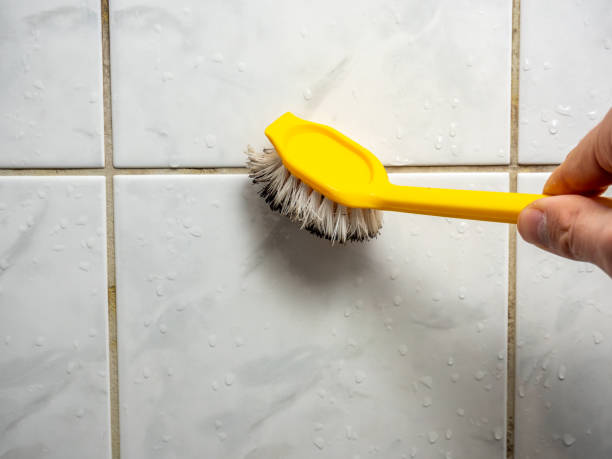 Best Mold Testing  in Las Vegas, NV