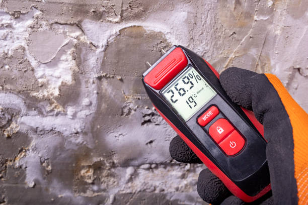 Best Certified Mold Removal  in Las Vegas, NV