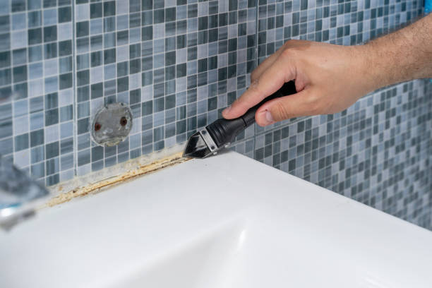Best Mold Testing  in Las Vegas, NV