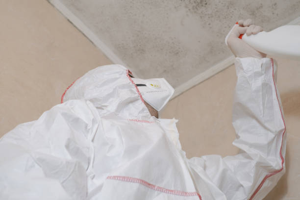 Best Commercial Mold Removal  in Las Vegas, NV